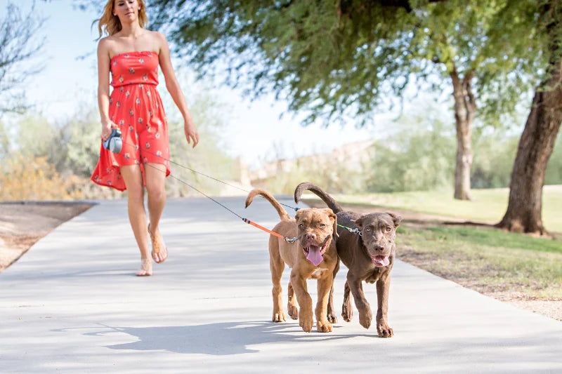 3-IN-1 Duel Retractable Dog Leash With LED light & waste holder -- Tangle-free 360 Degree Control for 2 dogs